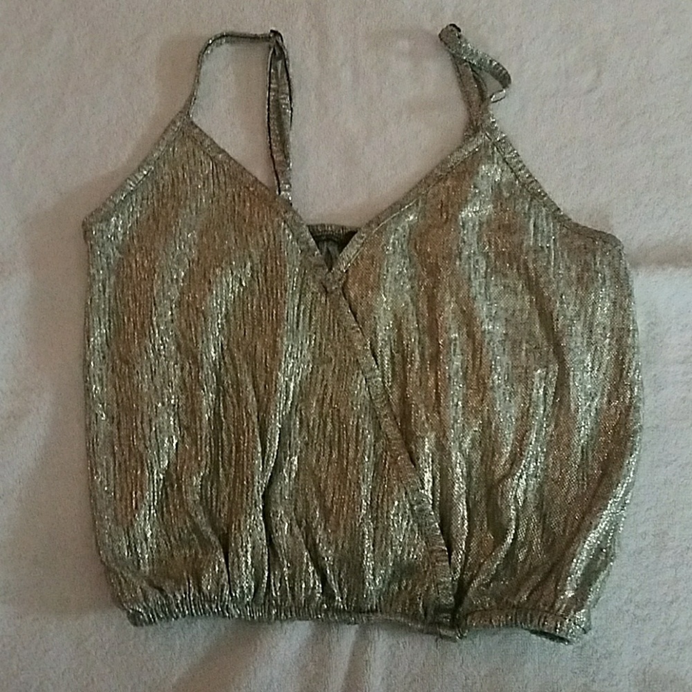 Silver crop top